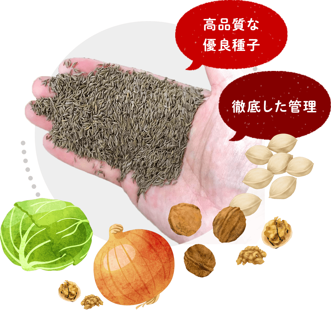 高品質な優良種子 徹底した管理