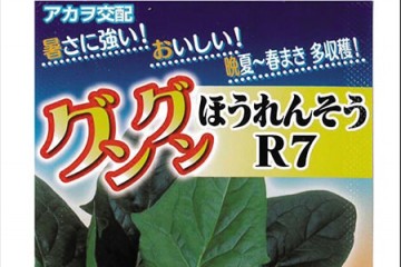 「グングン」ほうれんそうR7