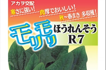 「モリモリ」ほうれんそうR7